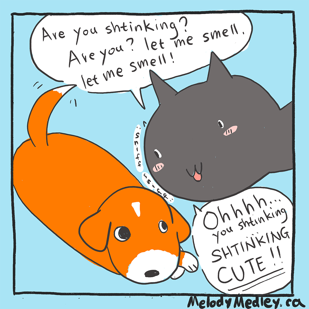 So shtinking
